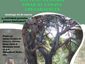 Ruta de senderismo Cueva de la Graja – Pinar de Cánava – Los Caracoles – Cruz de la Atalaya “Sierra Mágina, aventura y deporte de bajo impacto en la alta montaña de Andalucía”