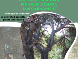 Ruta de senderismo Cueva de la Graja – Pinar de Cánava – Los Caracoles – Cruz de la Atalaya “Sierra Mágina, aventura y deporte de bajo impacto en la alta montaña de Andalucía”